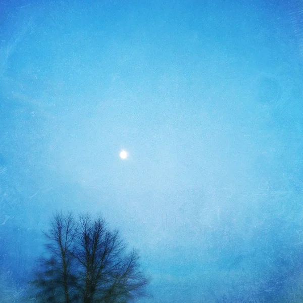 tree and moon.jpg