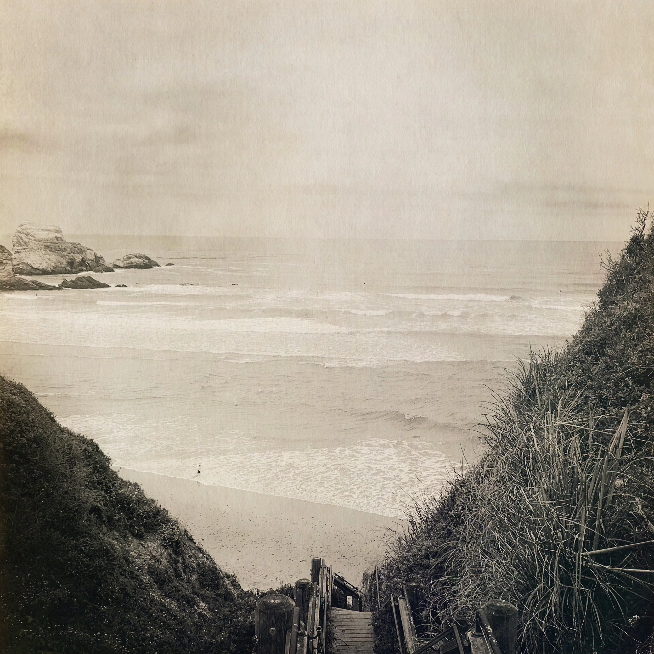 Stairs to sand dollar beach.jpg