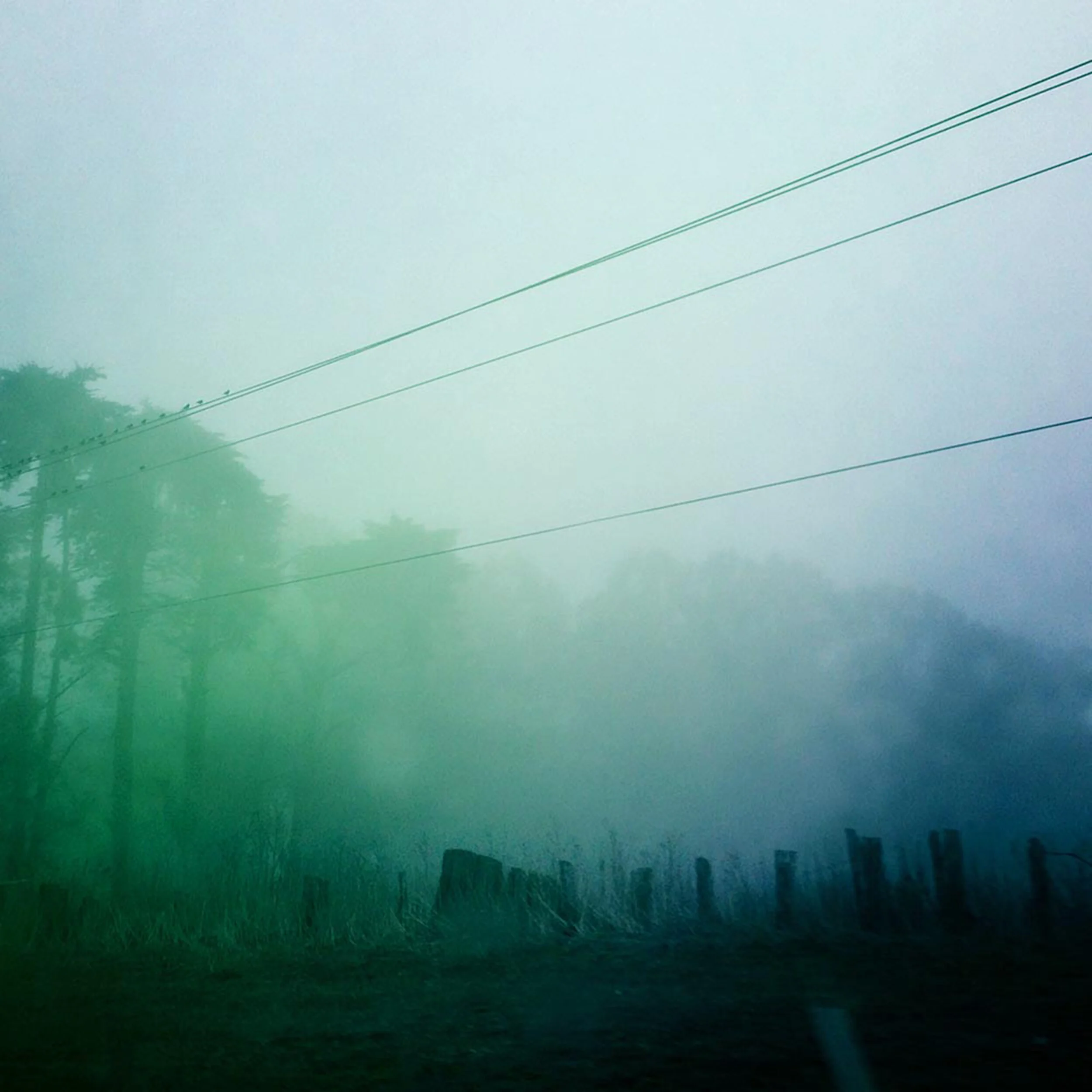 foggy coast for website.jpg