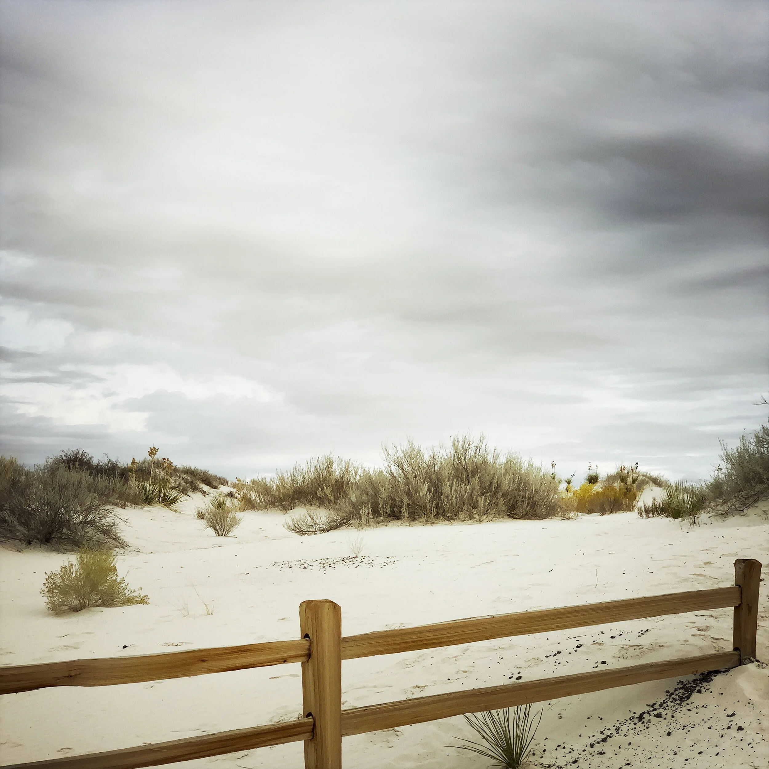 Dunes and fence.jpg