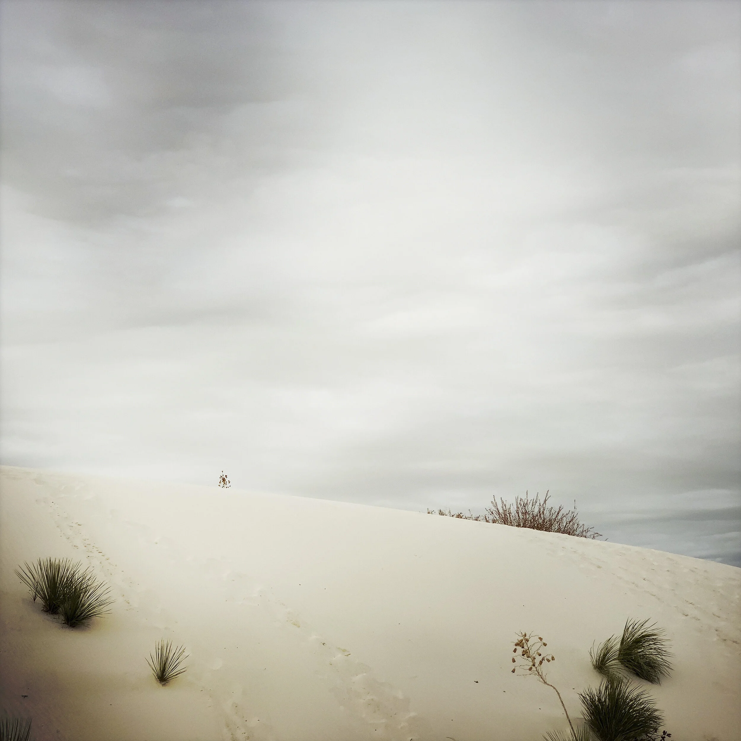White Sands Dune.jpg