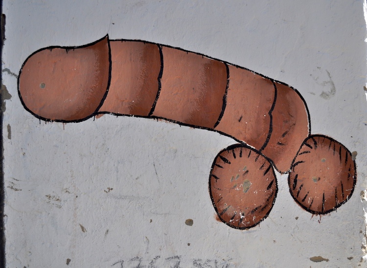 phallus (3).jpg