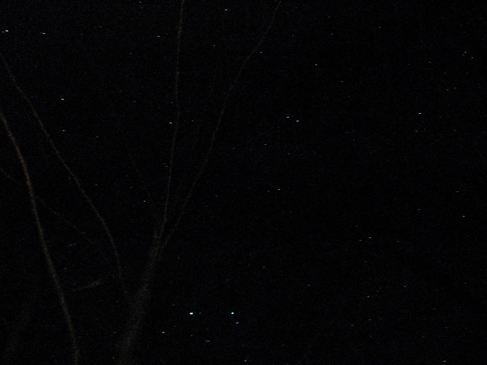 The%2520Stars.jpg