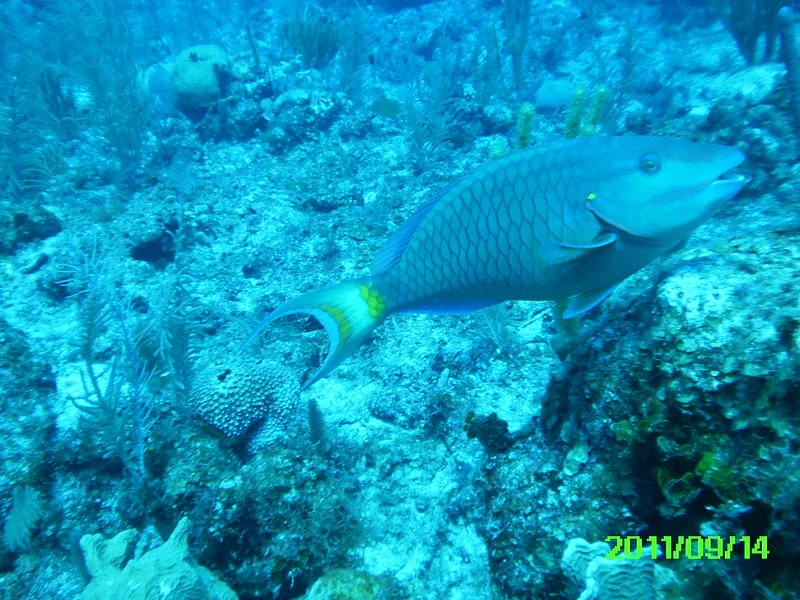 PICT0007.jpg