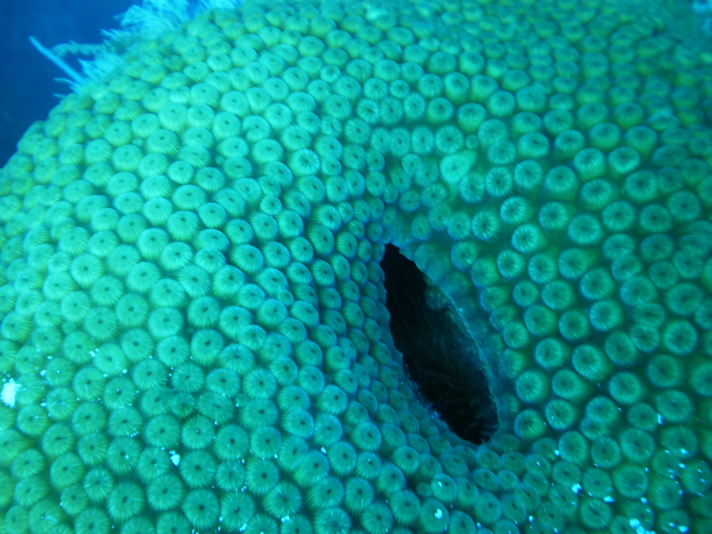 PICT0008.jpg
