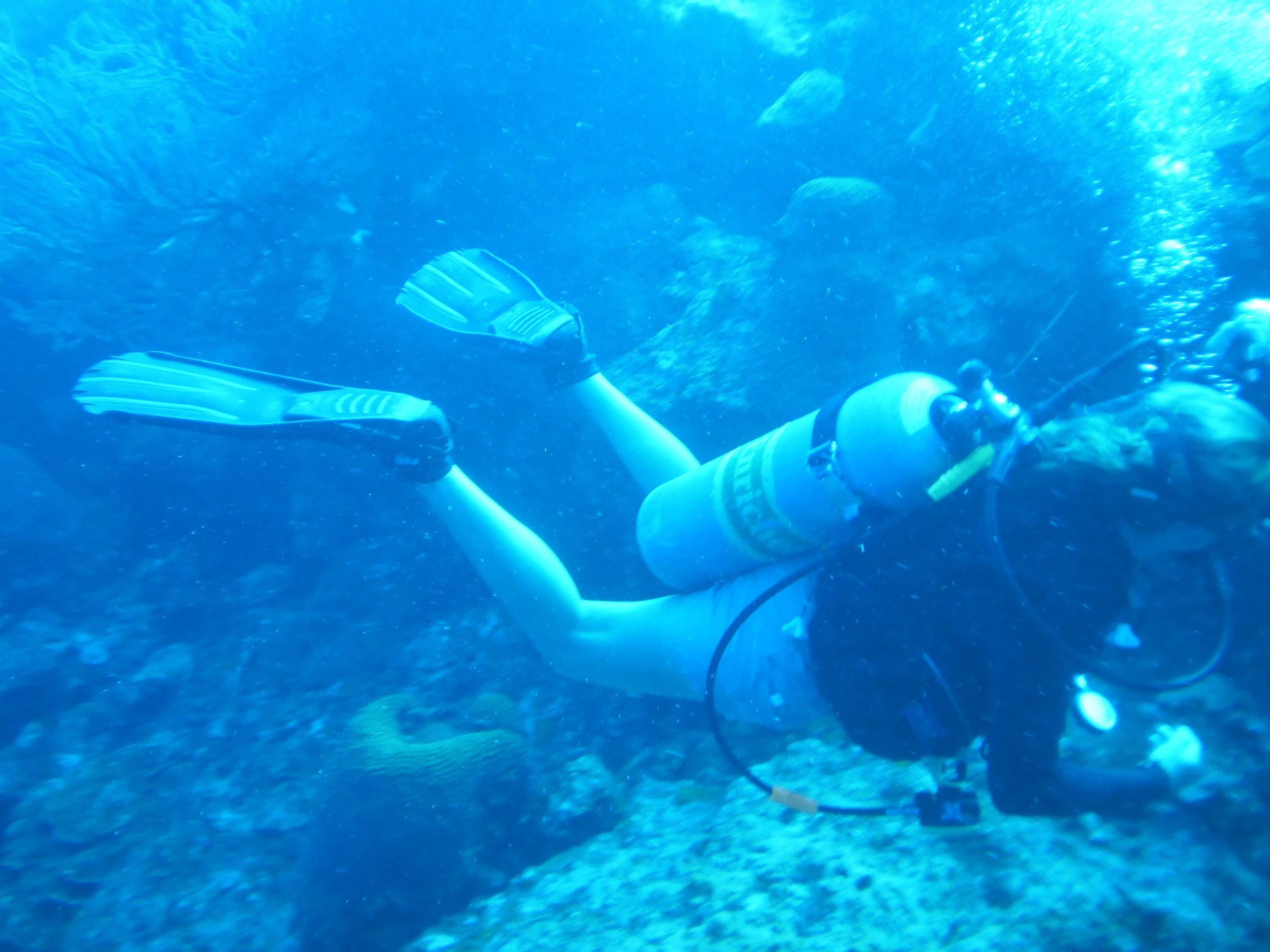 PICT0010.jpg