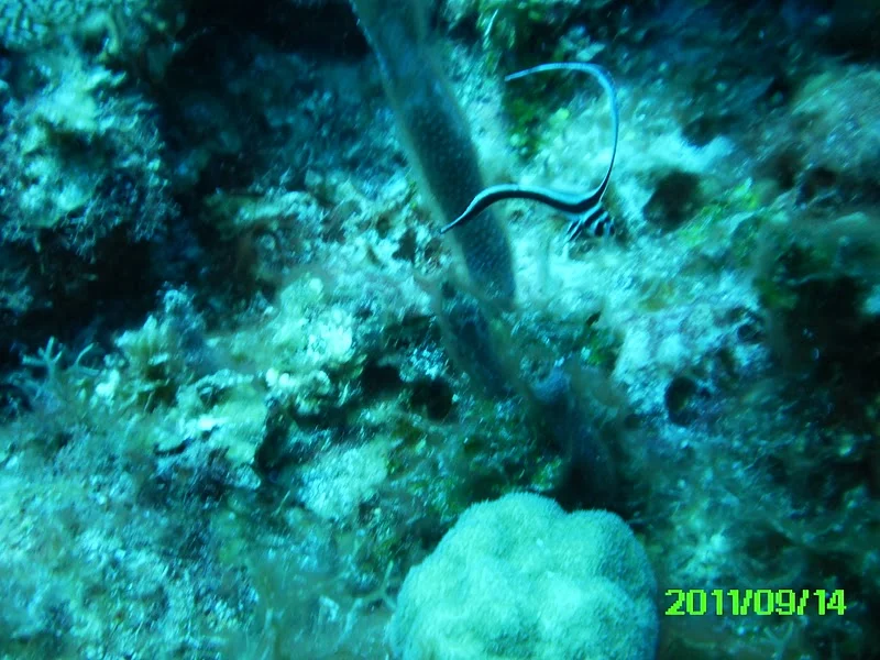 PICT0026.jpg