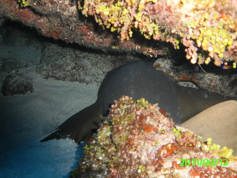 PICT0030.jpg