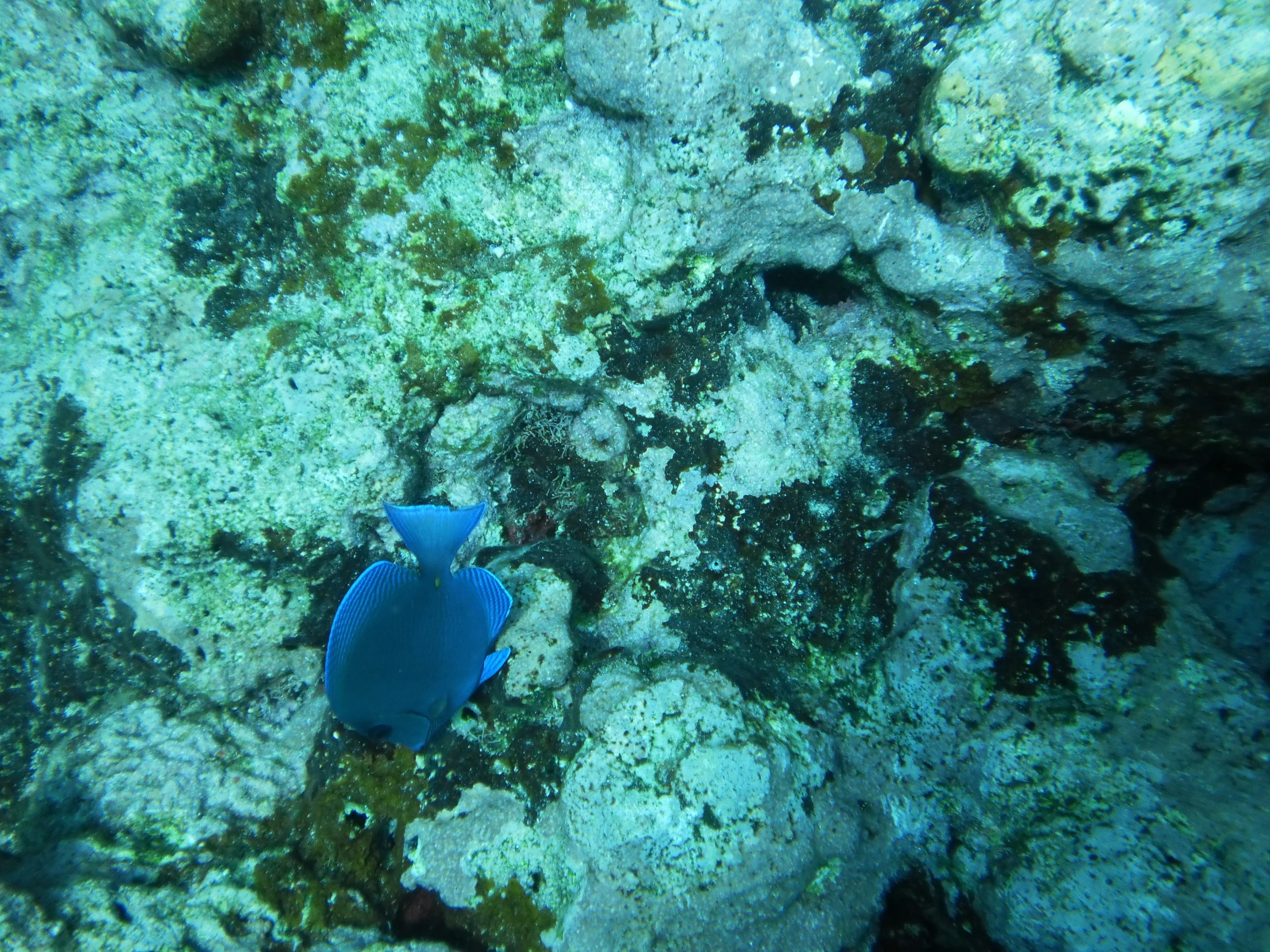 PICT0081.jpg
