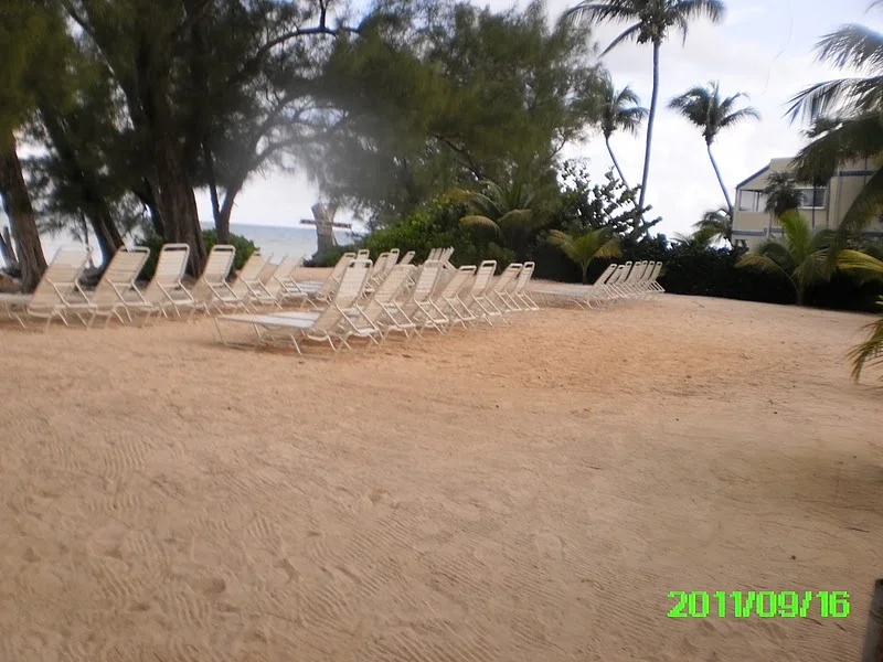 PICT0155.jpg