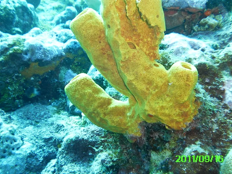 PICT0242.jpg