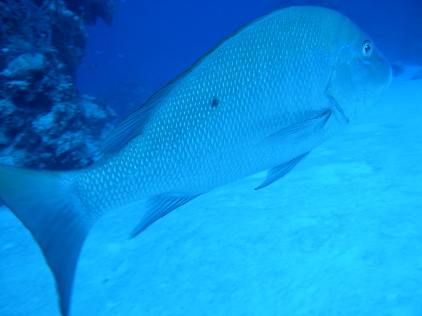 DSCN2517.jpg