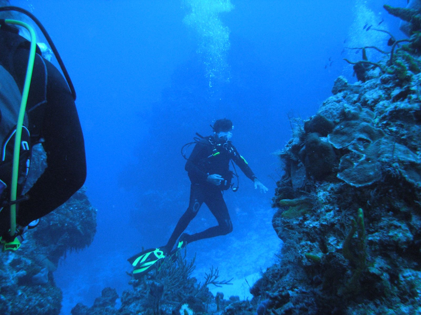 DSCN2518.jpg