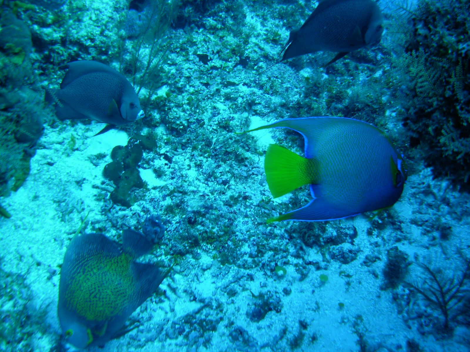 DSCN2519.jpg