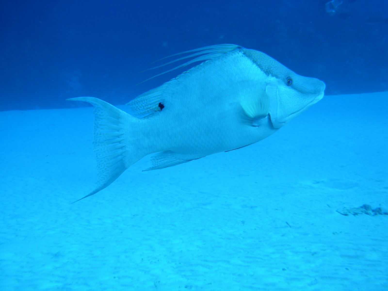 DSCN2523.jpg