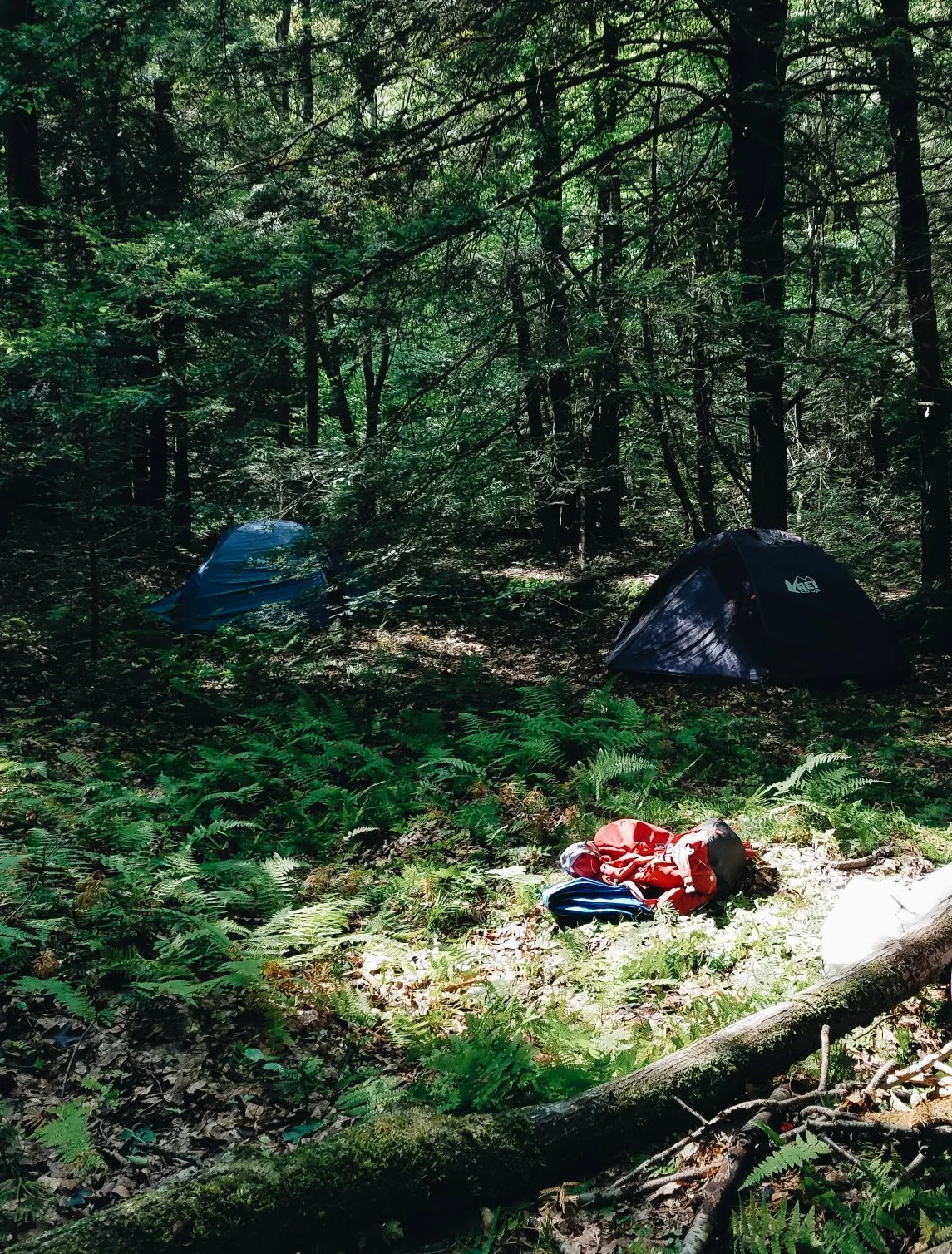 Tanbark_Tents.jpg