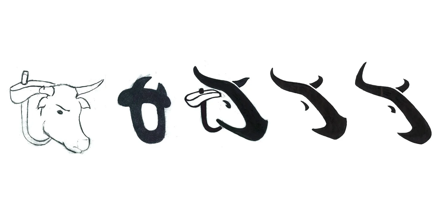 tilmor_identity_01_b.jpg