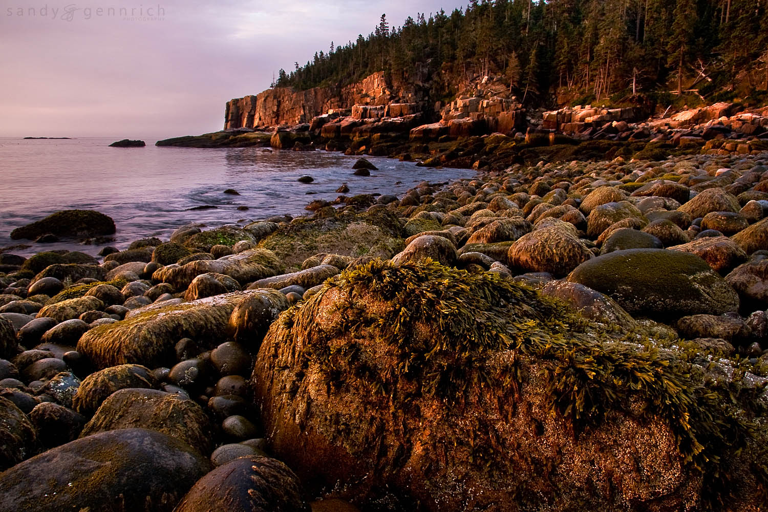 Otter Cliffs - Acadia National Park - Bar Harbor - Maine