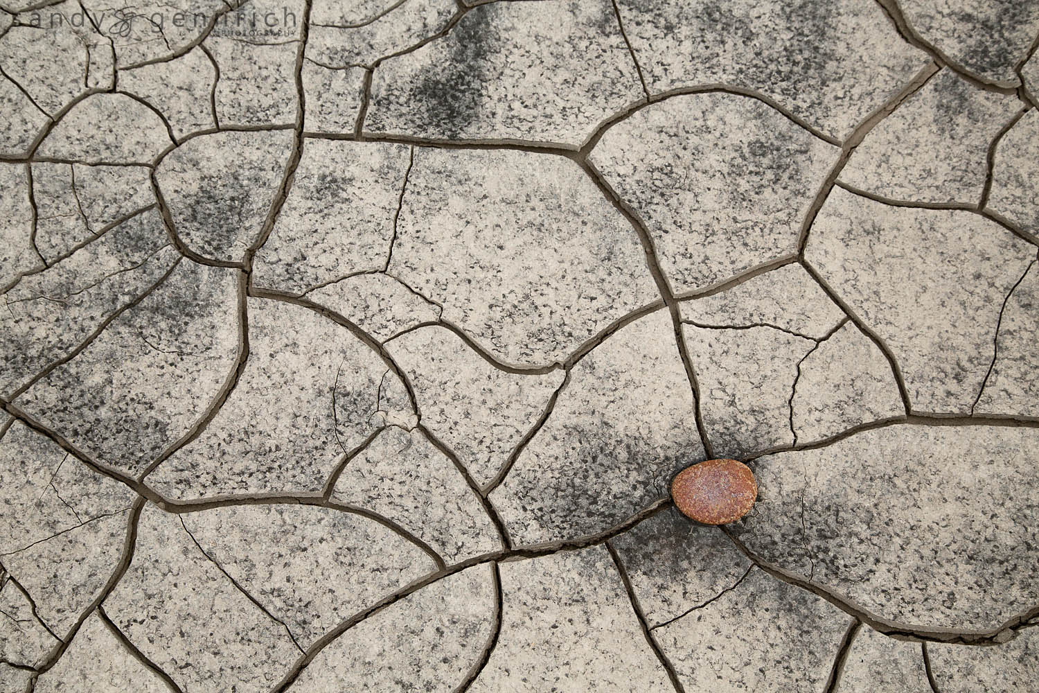 Thirsty - Bisti Badlands - Farmington NM