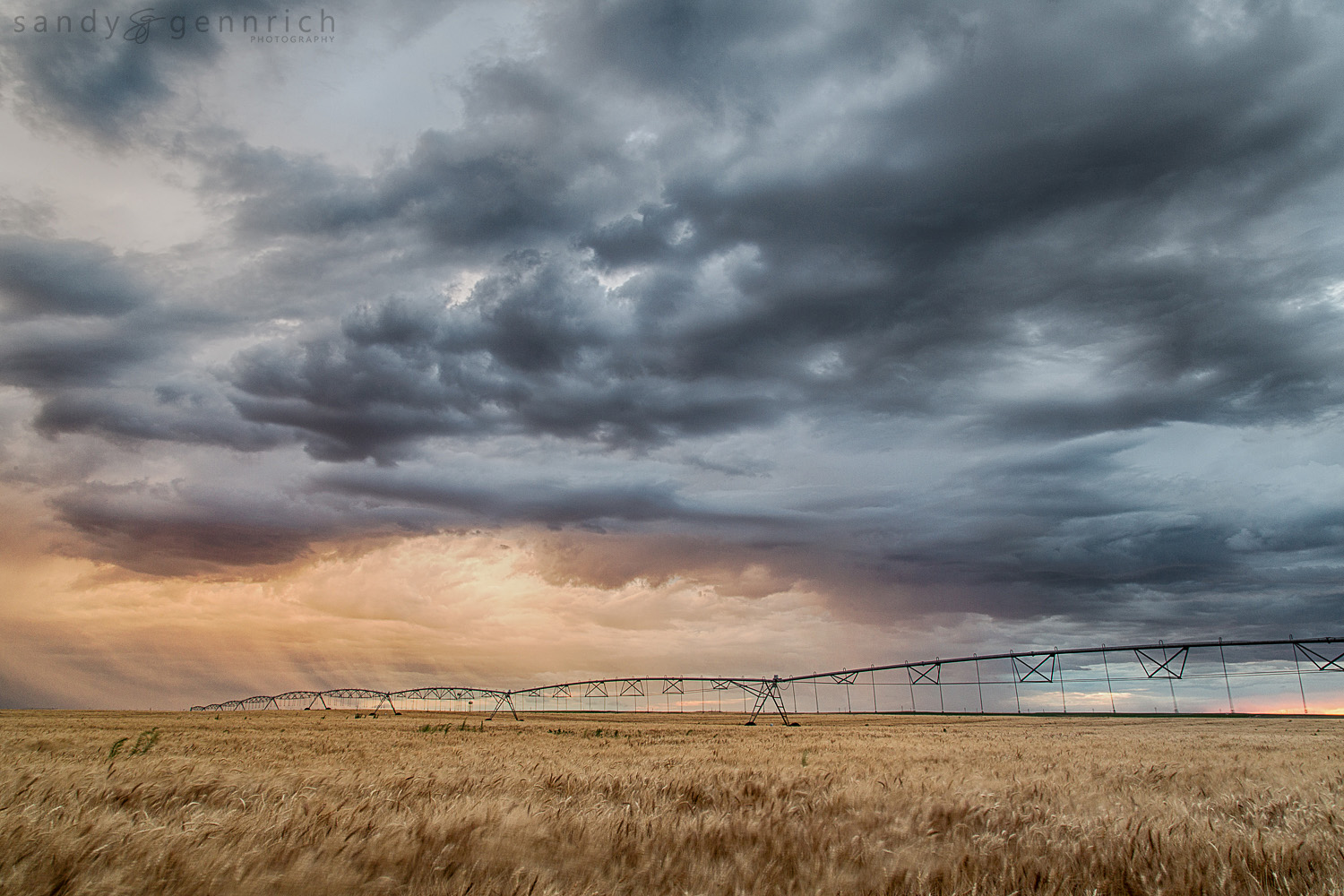 Feeding America - Farmington - New Mexico NM