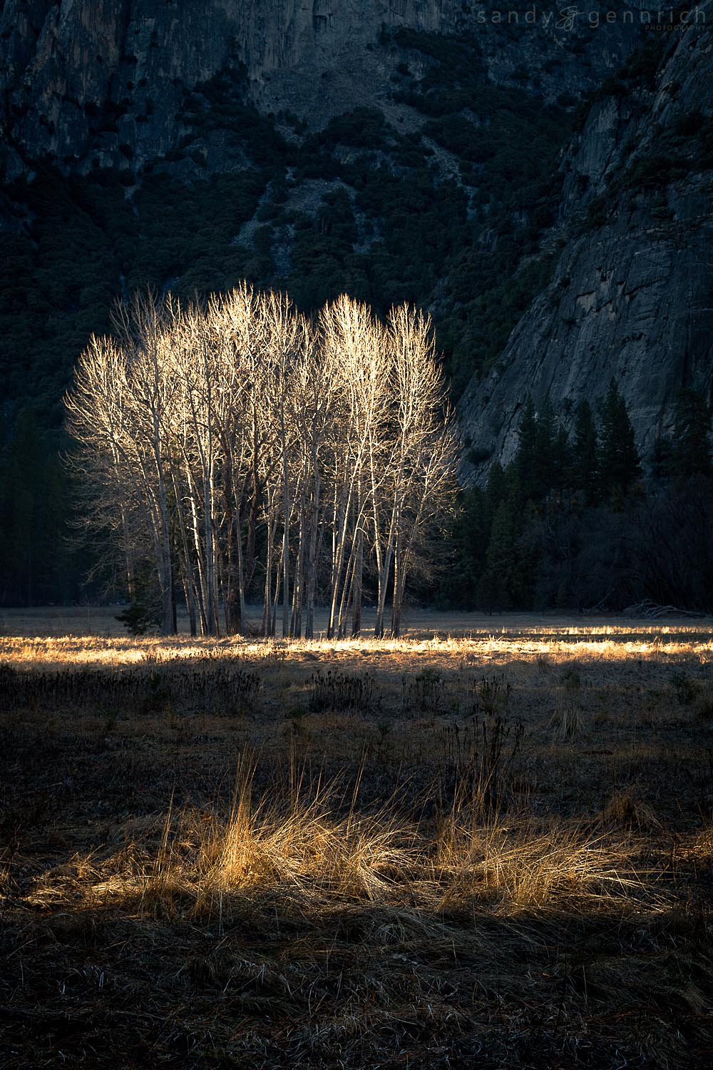 In the Spotlight-Yosemite-CA