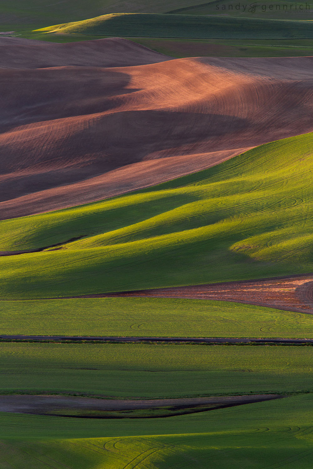 Rolling Farmland - Steptoe Butte - Palouse WA