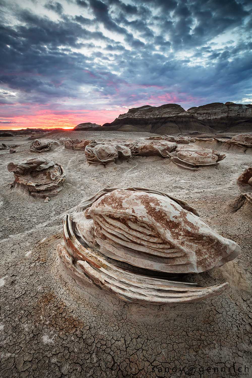 Sea Turtle - Bisti Badlands - Farmington, NM