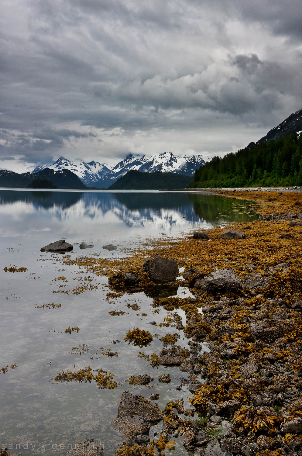 Skidmore Bay - Glacier Bay National Park - Alaska