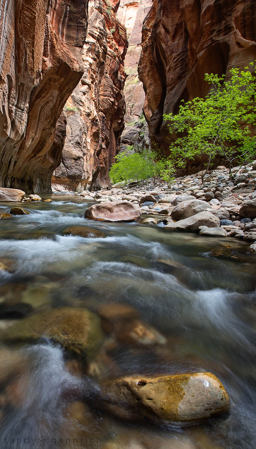The Narrows-UT-Zion National Park