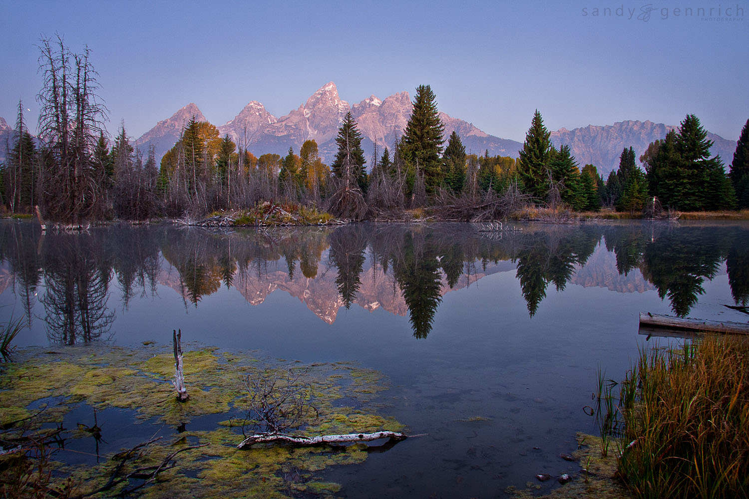 The Silence of Dawn - Grand Tetons National Park - Jackson - WY