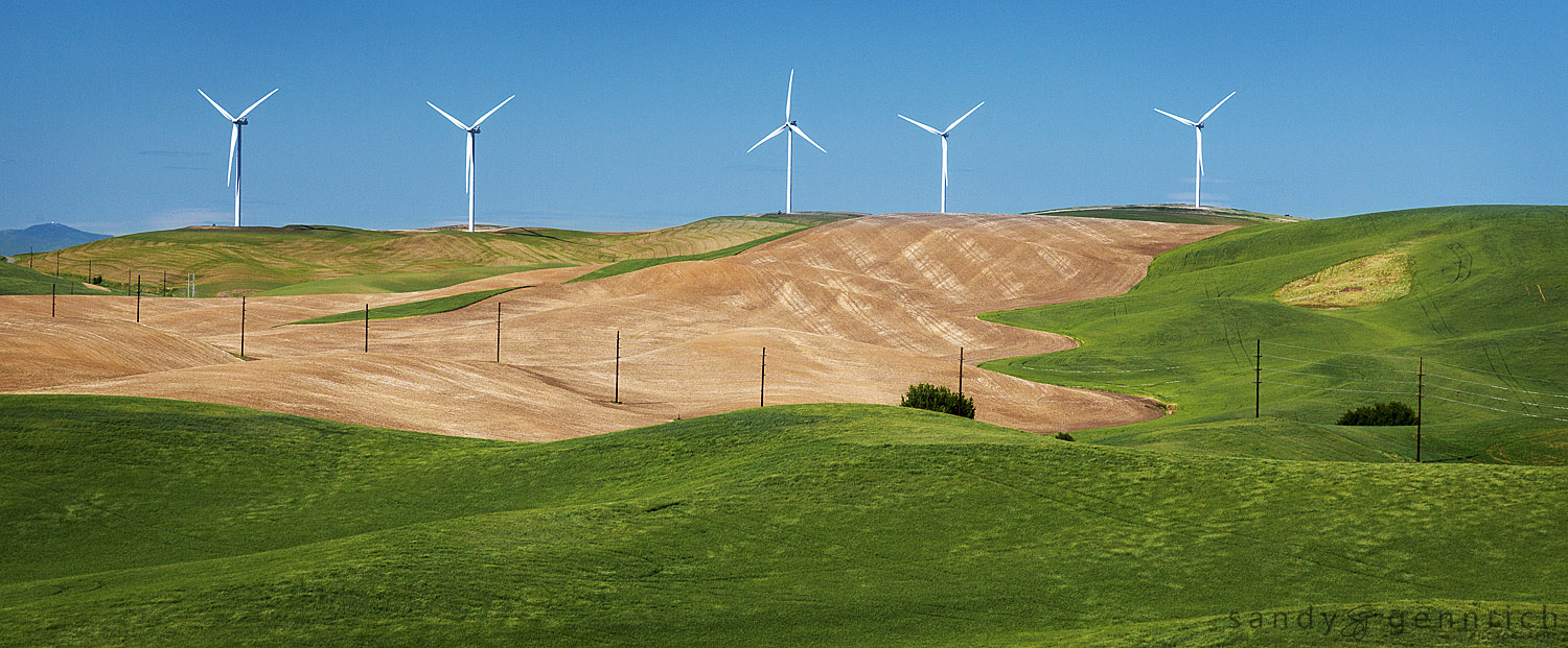 Up and Down - Multi Use Land - The Palouse - Colfax WA