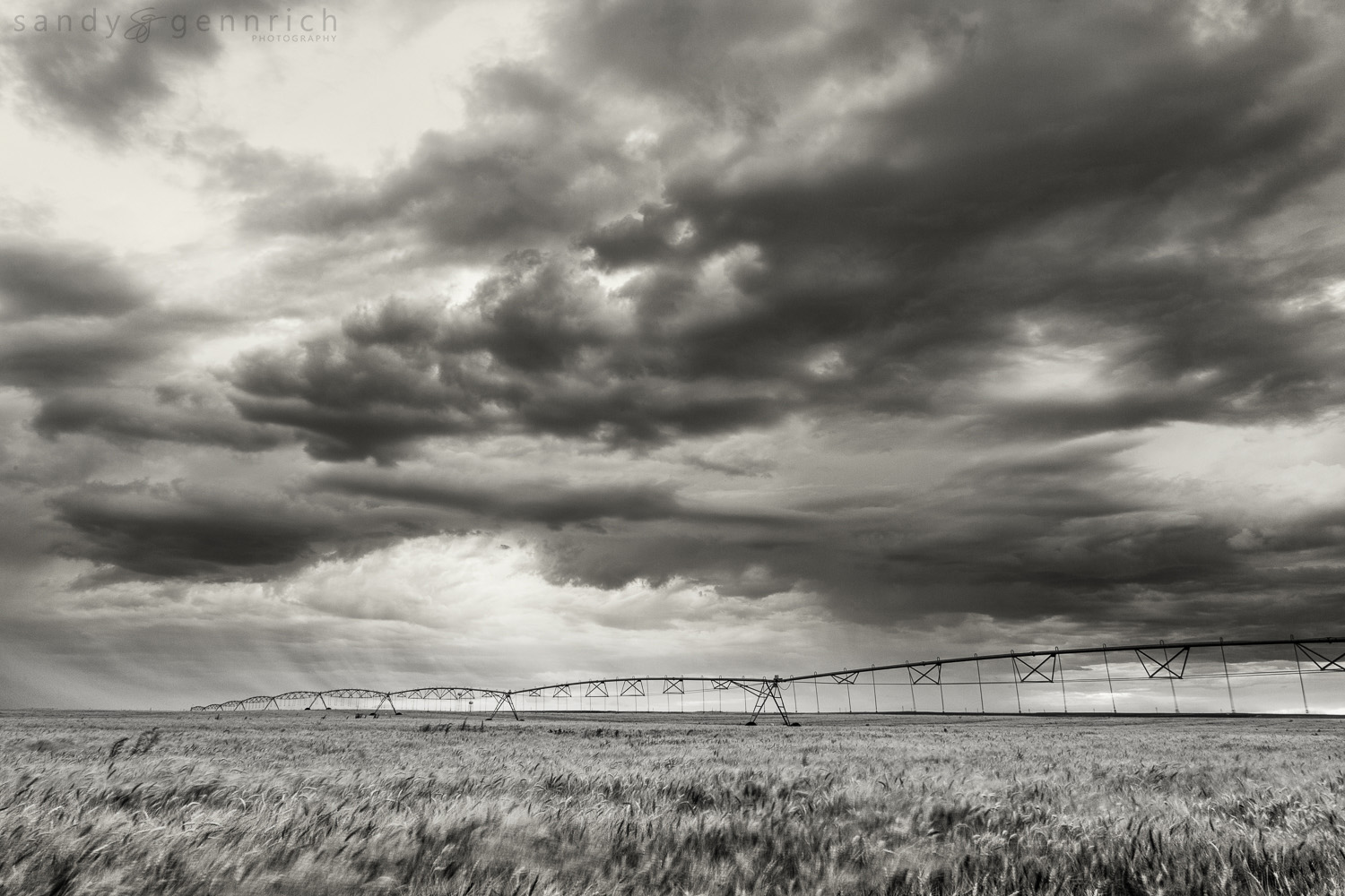 American Farmland - Farmington NM