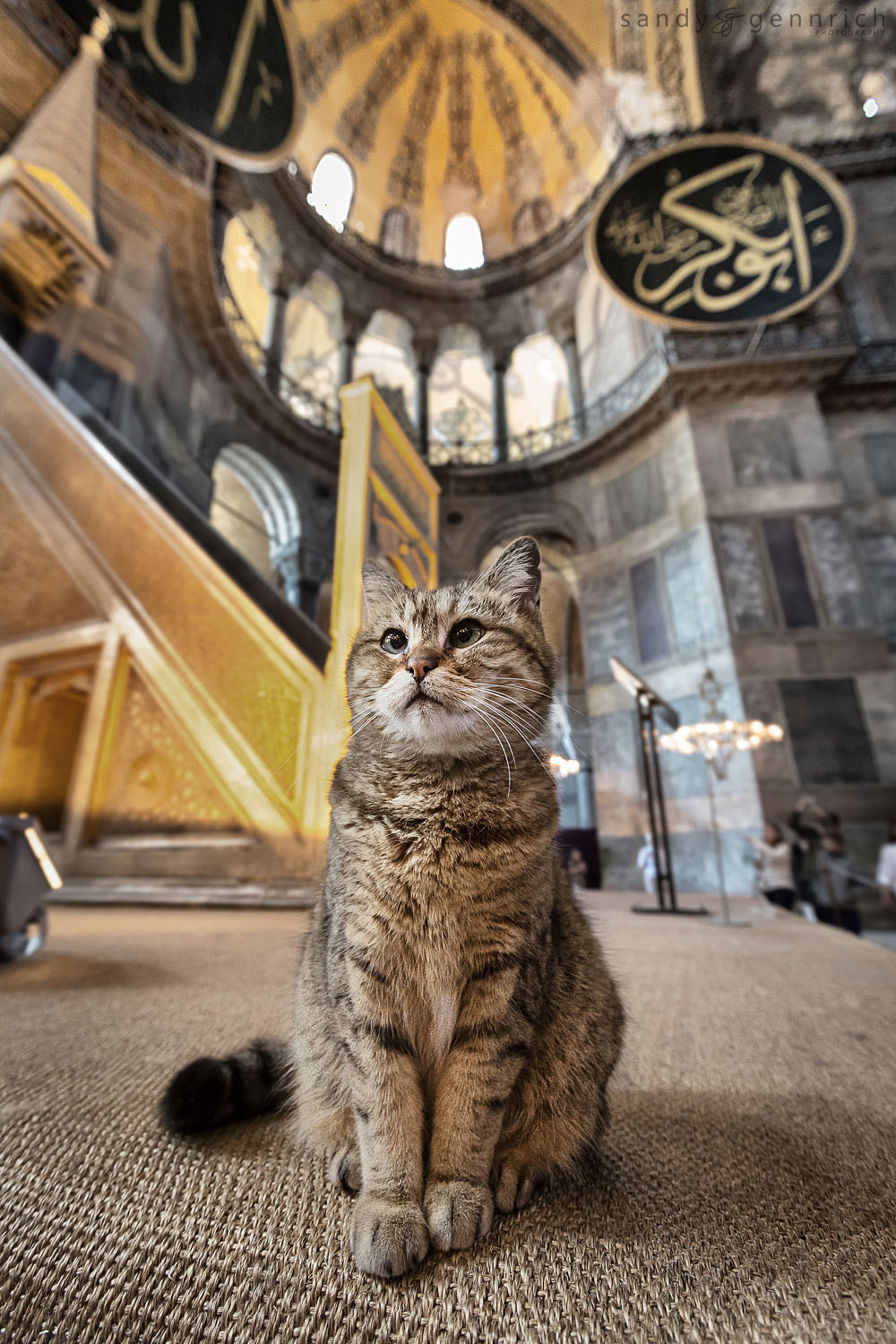 Mascot of the Aya Sophia - Istanbul - Turkey