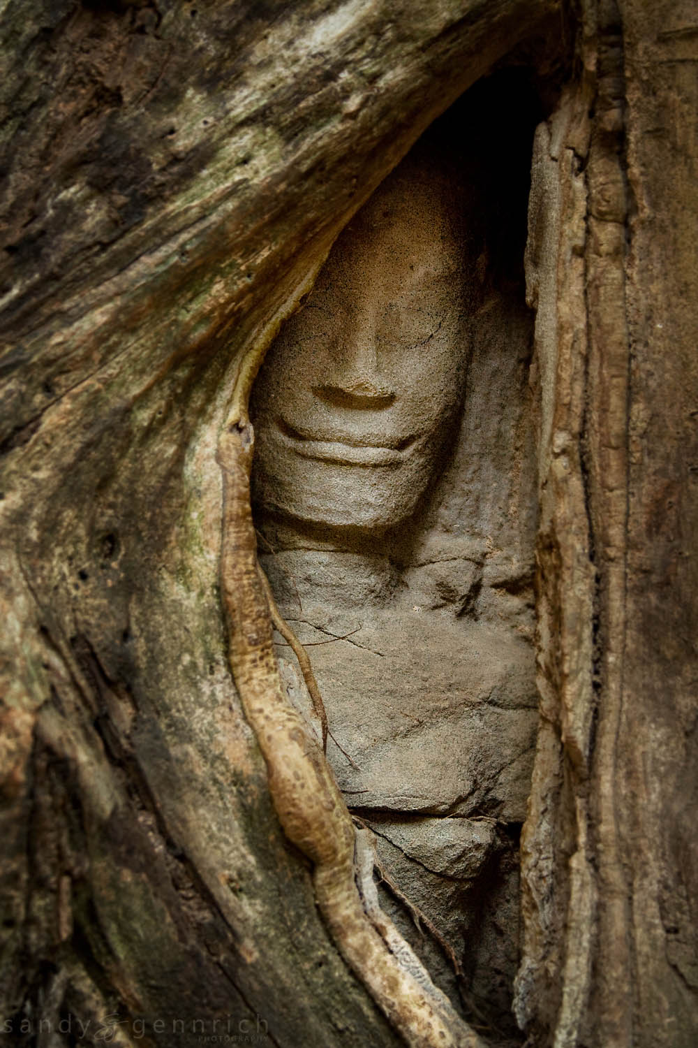 Peeking Through - Ta Prom Temple - Angkor Wat - Cambodia