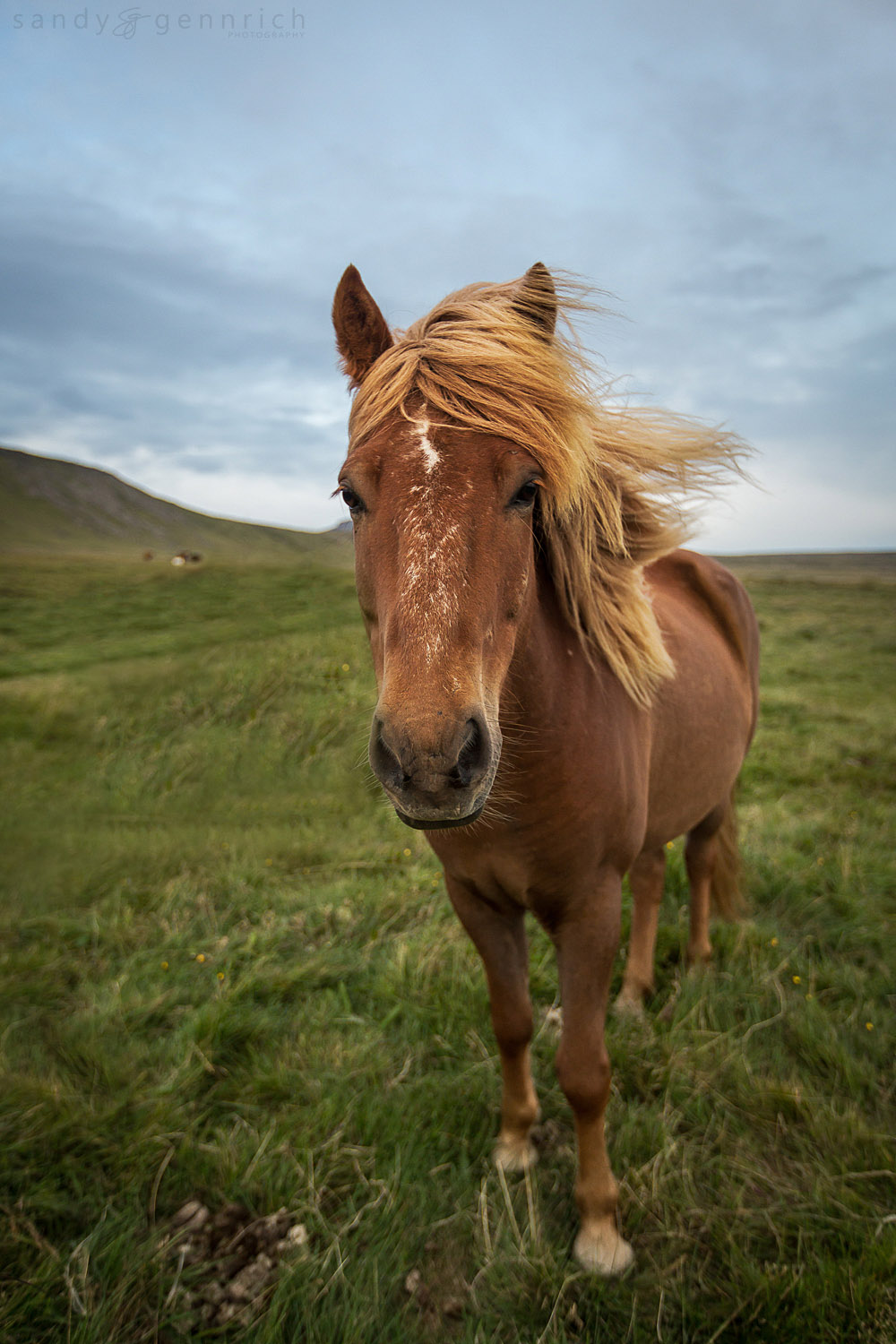 They Call the Wind Mariah - Snaefellsness Peninsula - Iceland