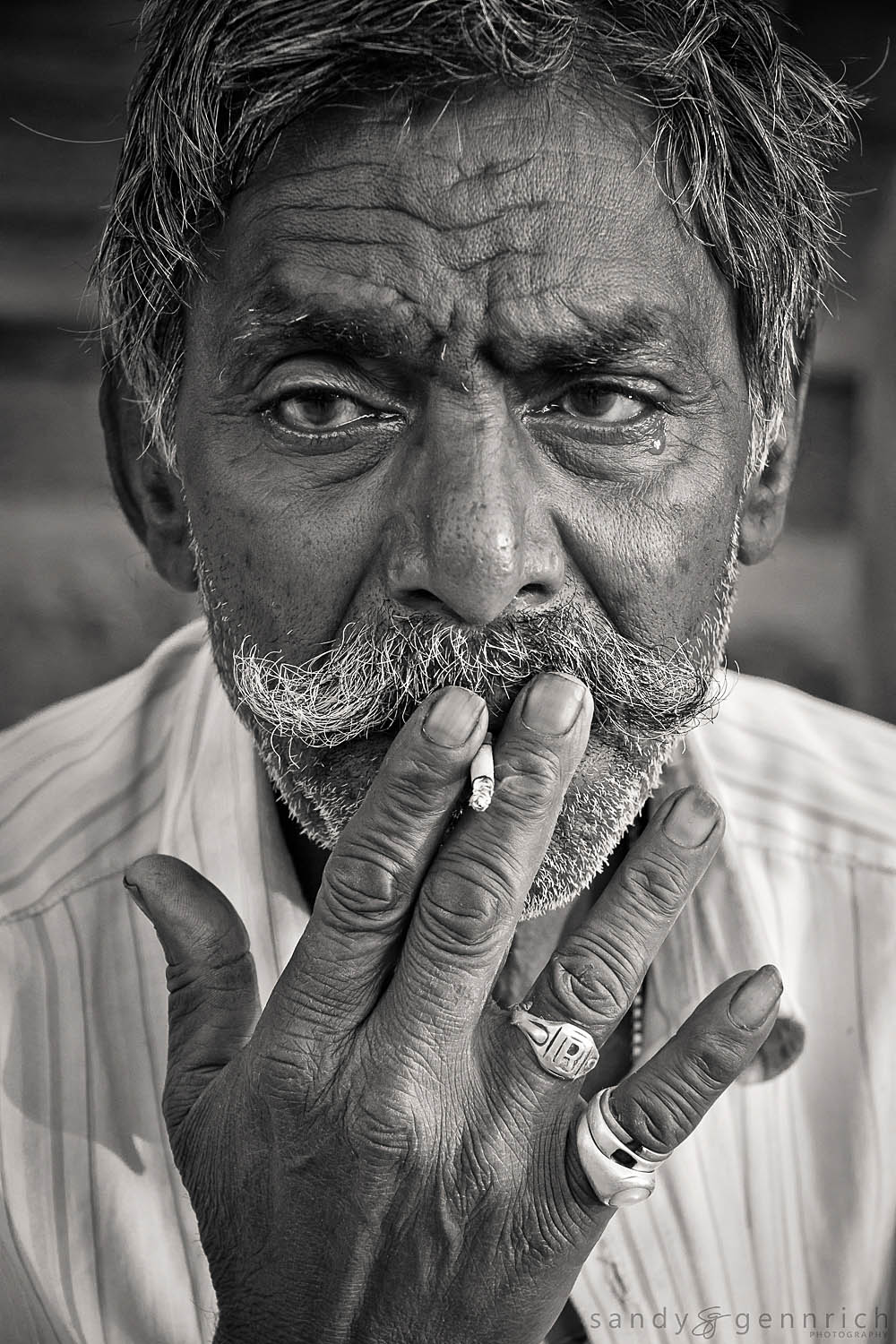 Habit - Jaipur - Rajastan - India