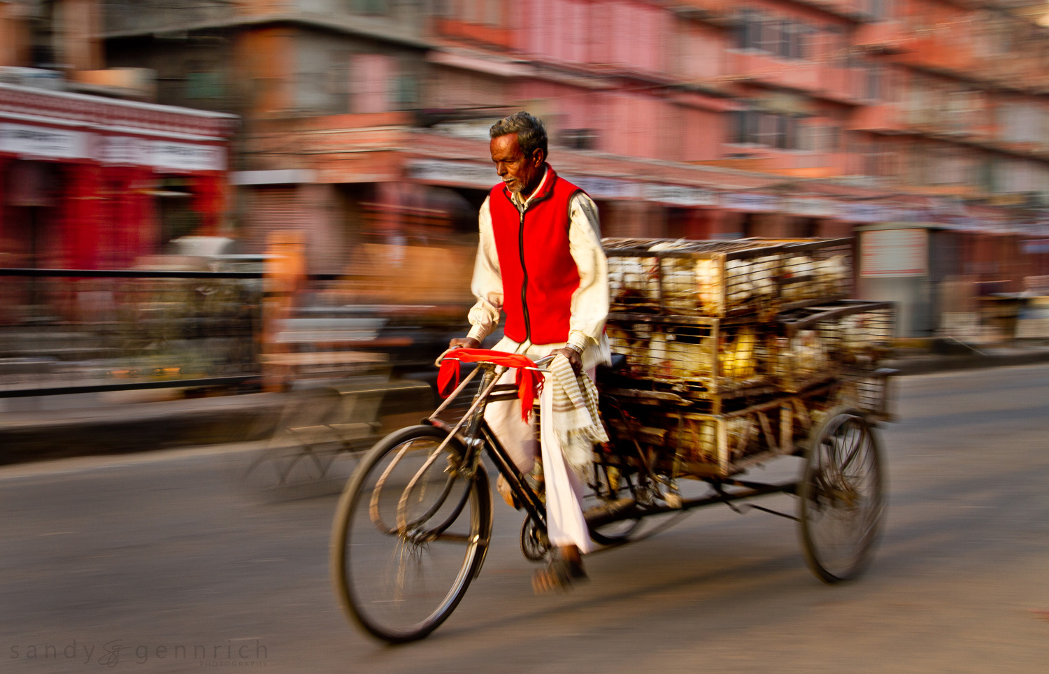 Delivering Chickens - Jaipur - Rajastan - India