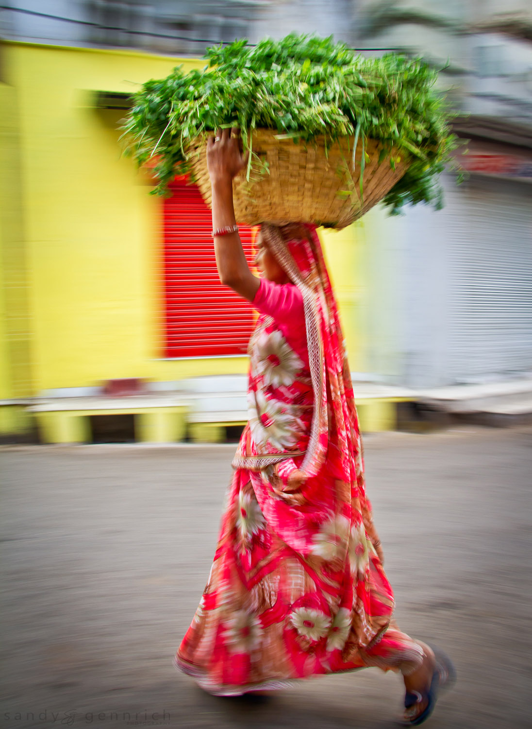 Transporting Greens - India in Motion - Udaipur - India