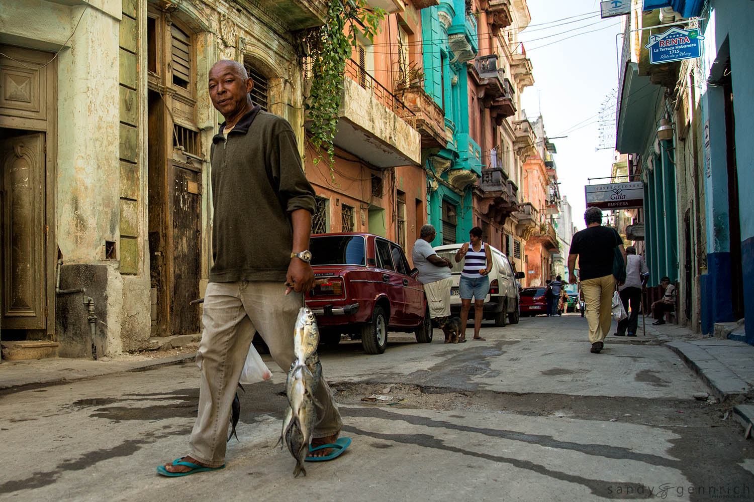 Fresh From the Market-Cuba-Havana