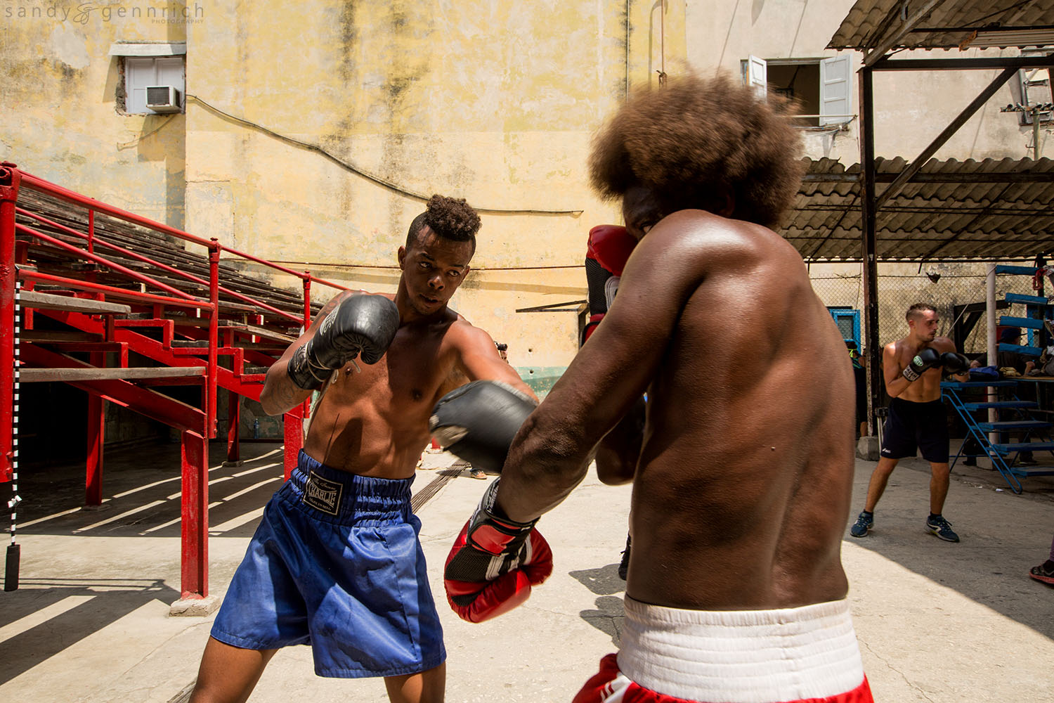 Sparring-Cuba-Havana