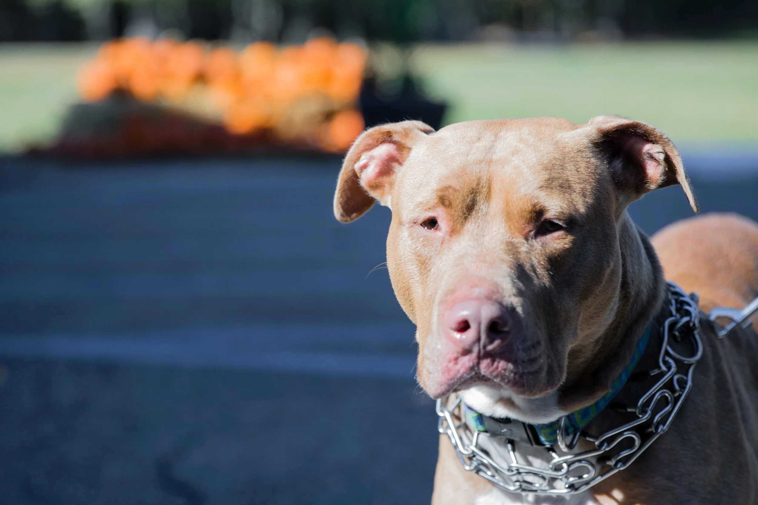 IMG_0066.jpg
