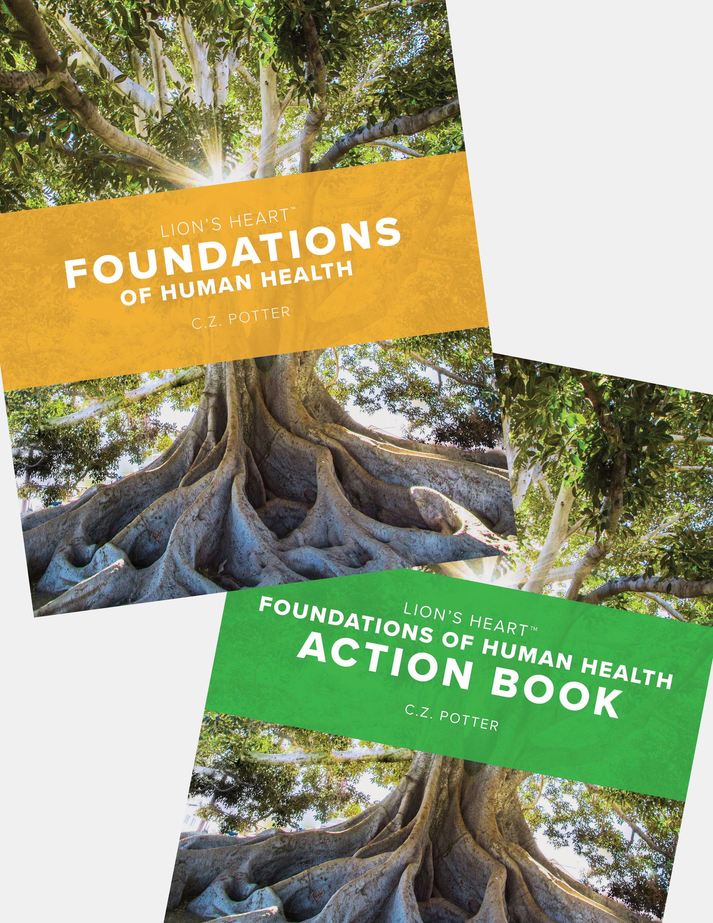 Foundations Bundle - DIGITAL PDF DOWNLOAD