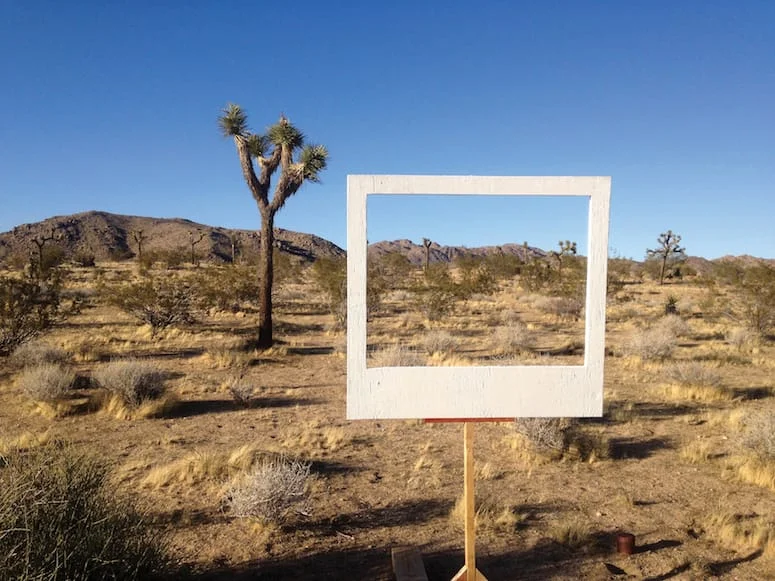 Stefanie Schneider’s The Big Picture welcomes visitors to tame and frame their surroundings.