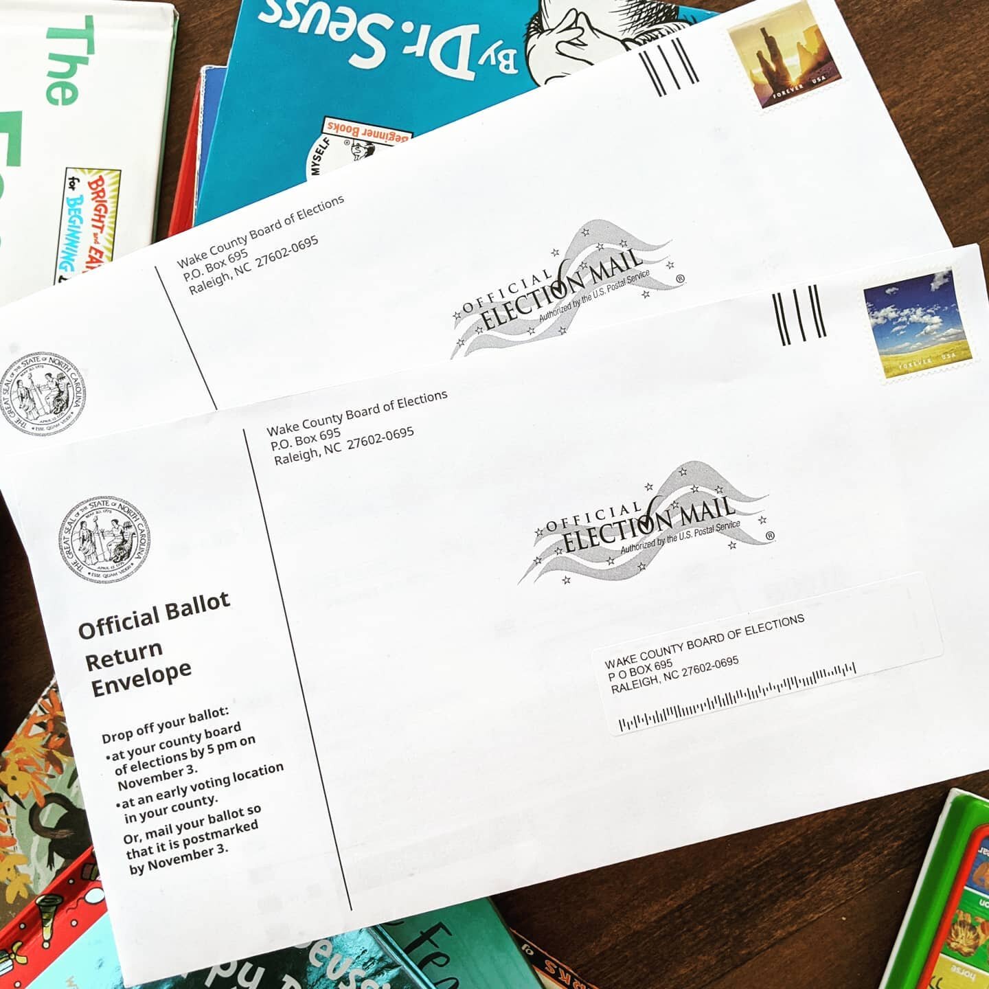 Can you tell we're ready for change? Know your voting plan. Get it done. Our future depends on it. #voteearly #absenteeballot #bidenharris2020