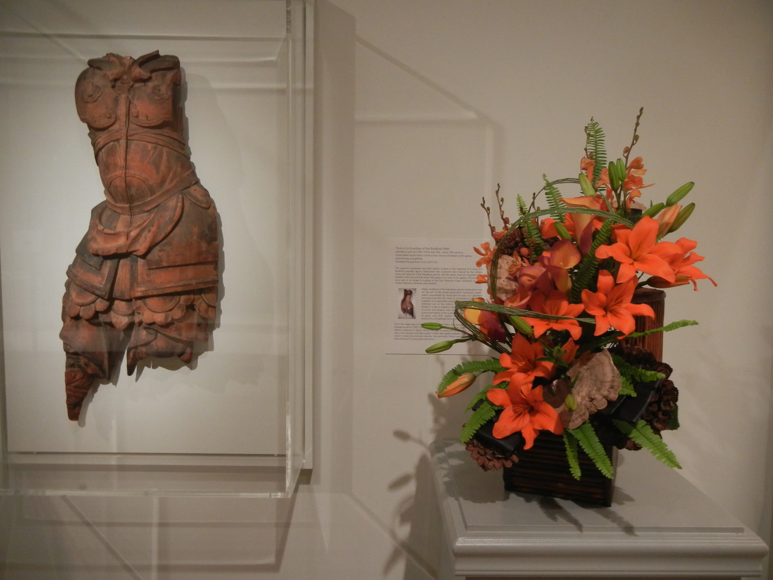 Flora in Winter 2014