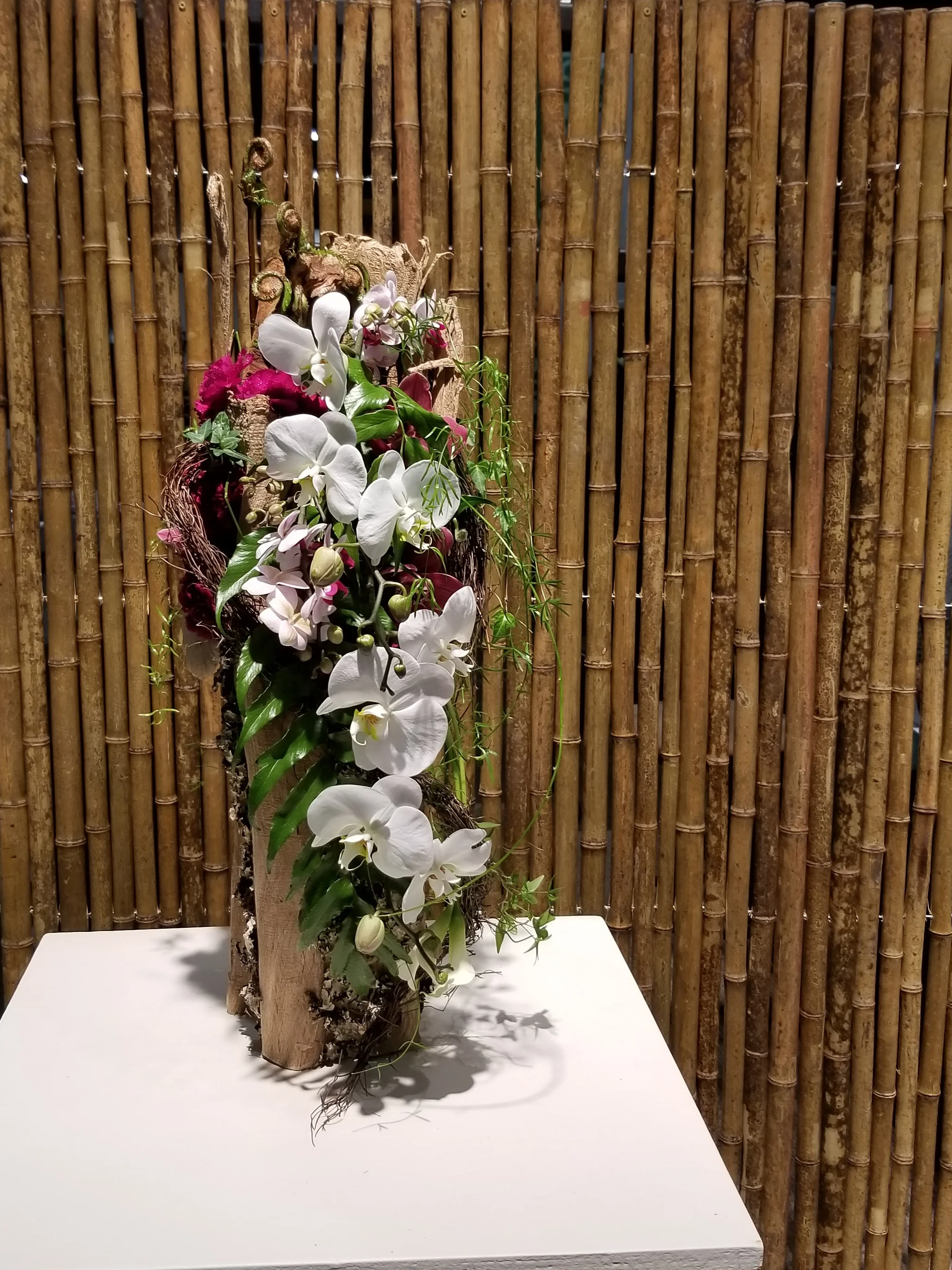Angel Falls - Cascade Design at The Boston Flower Show 2019