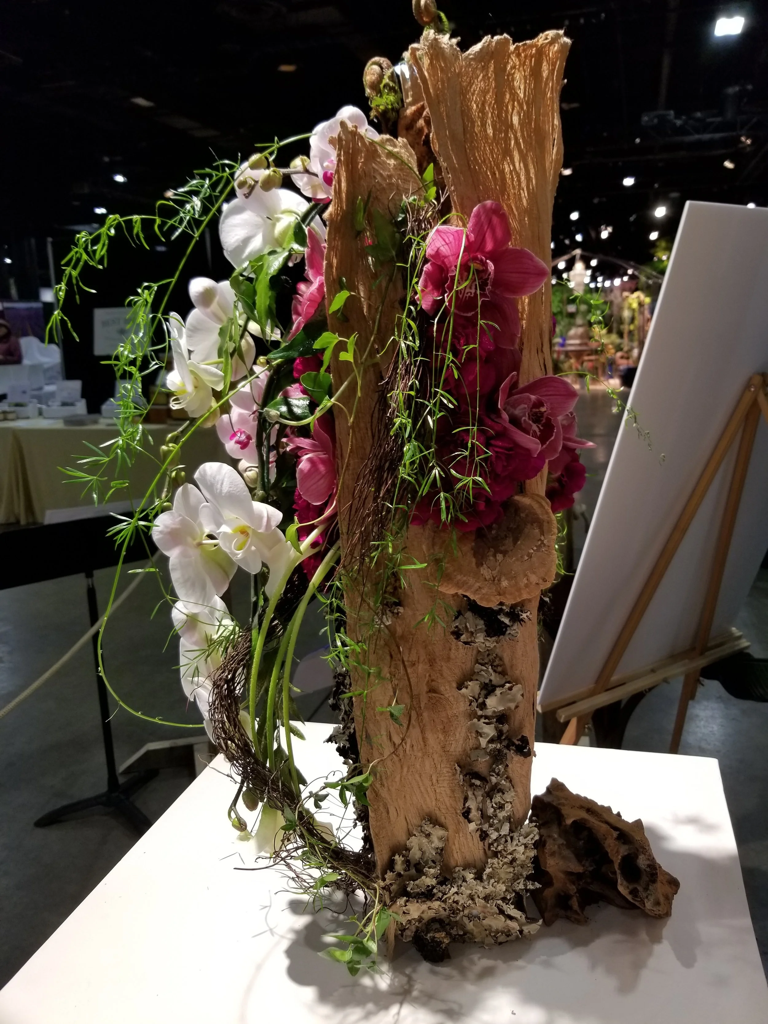 Angel Falls - Cascade Design at The Boston Flower Show 2019