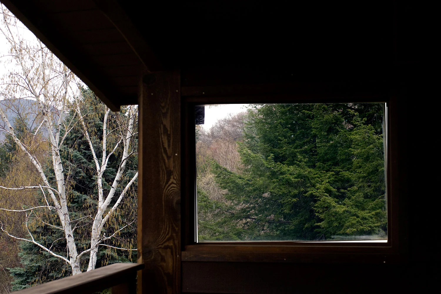 Catskills