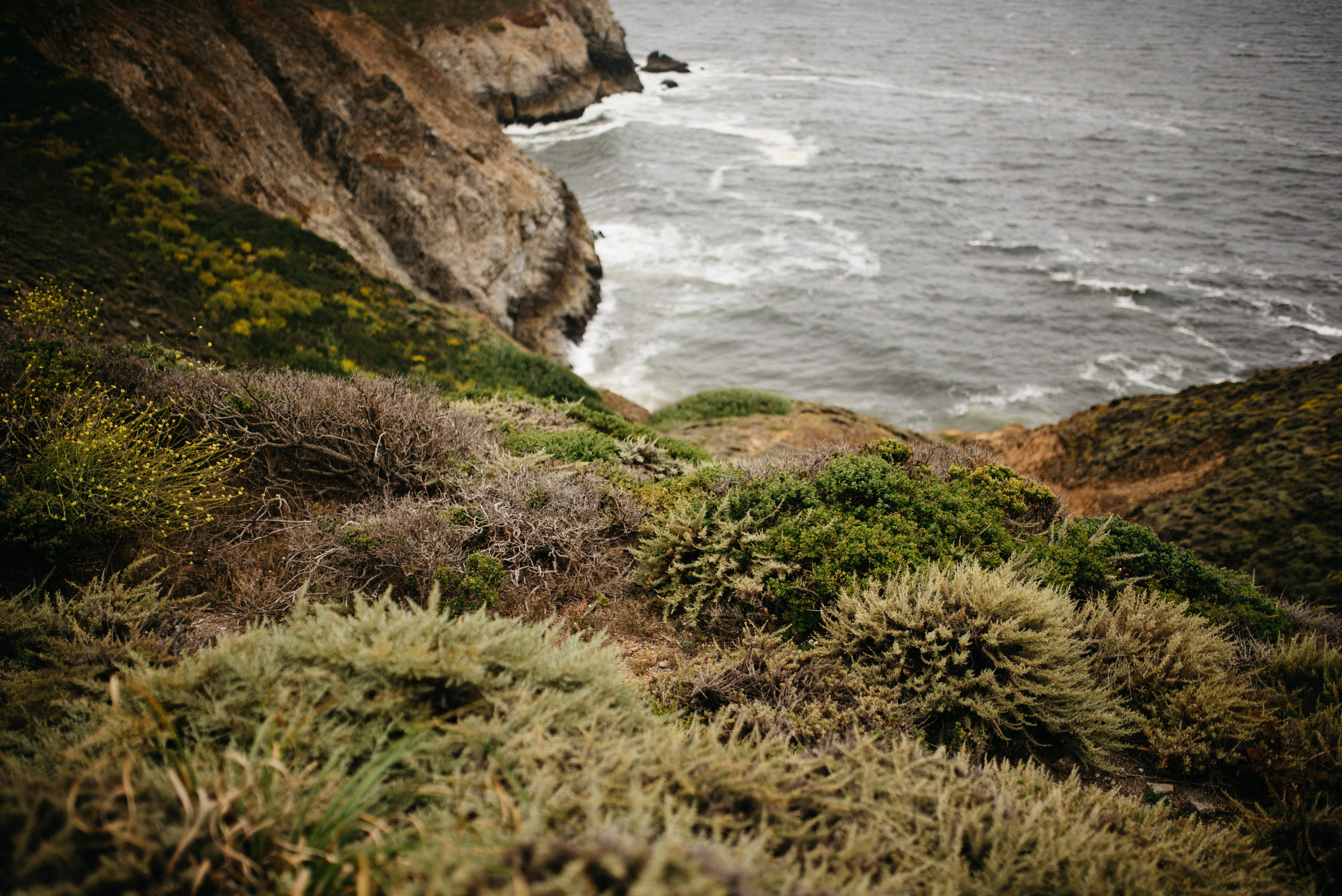 California Coast