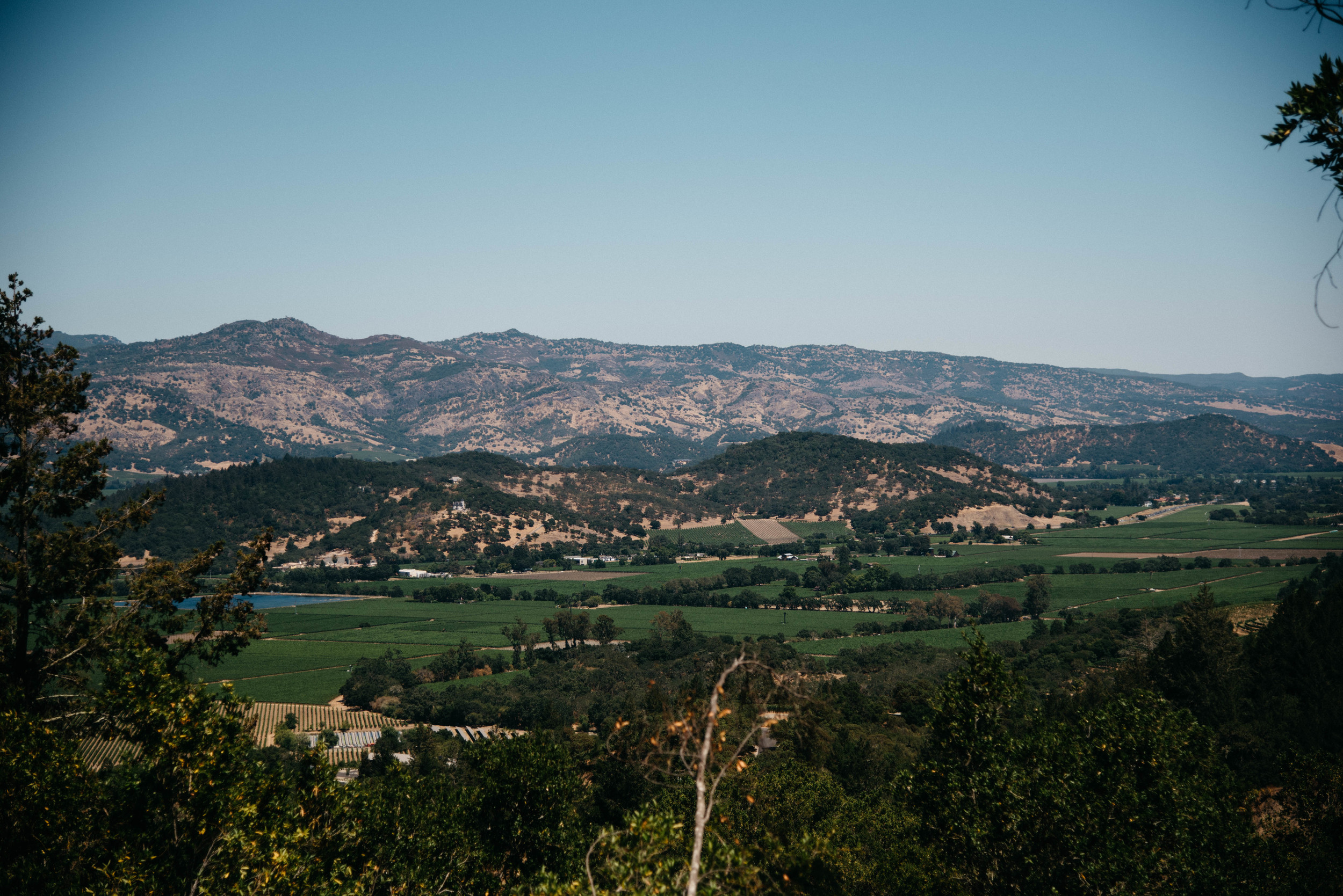 Napa Valley